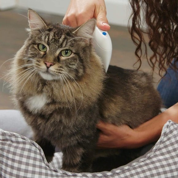 Pet Electronic FLEA Eliminator with NO Chemicals NO Pesticides - Picture 8 of 10